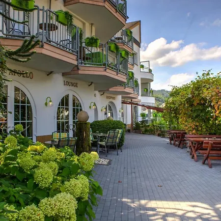 Moselromantik Hotel Am Panoramabogen-3